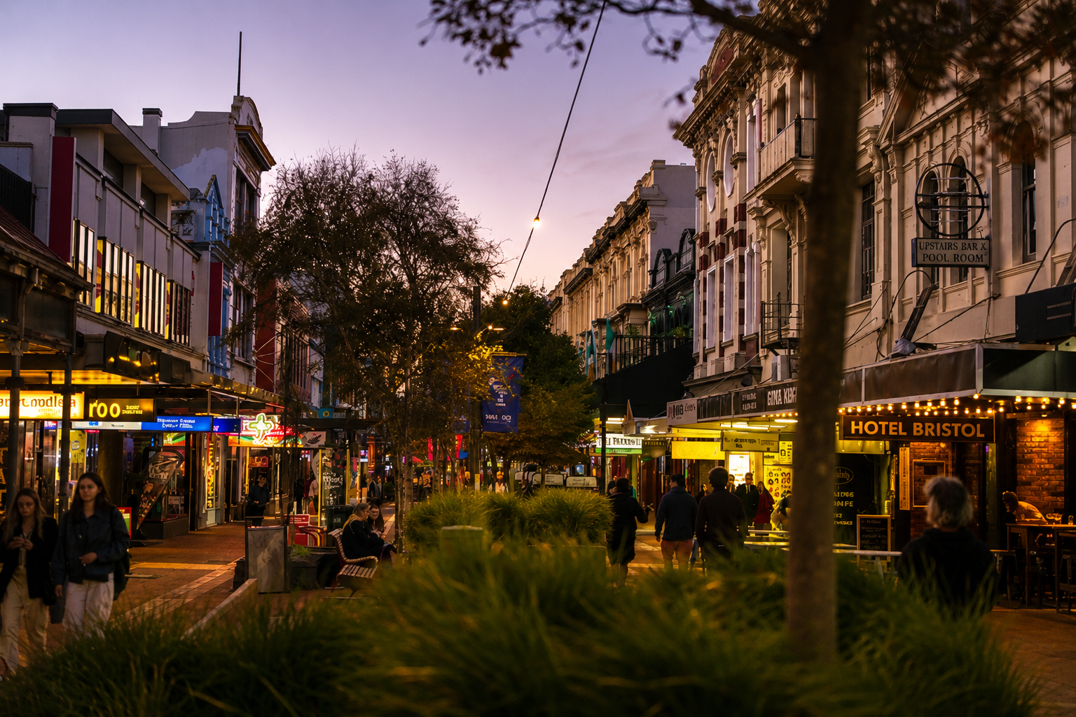 Wellington property market